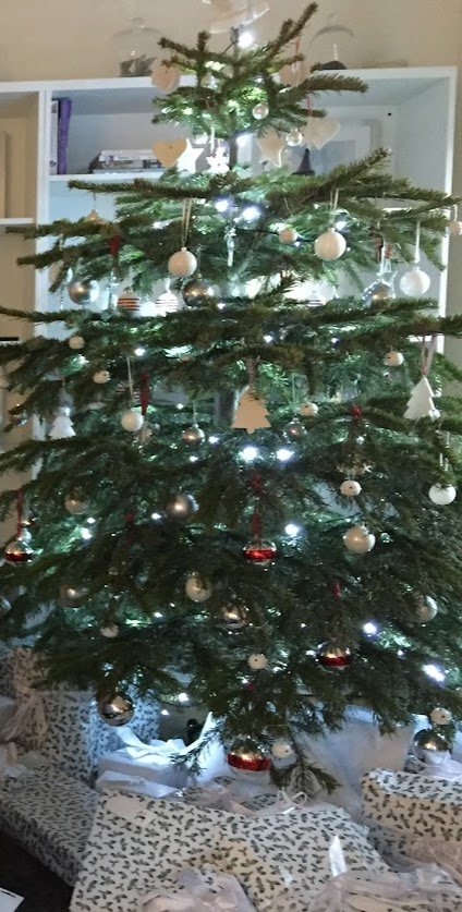 Magical Christmas tree lighting